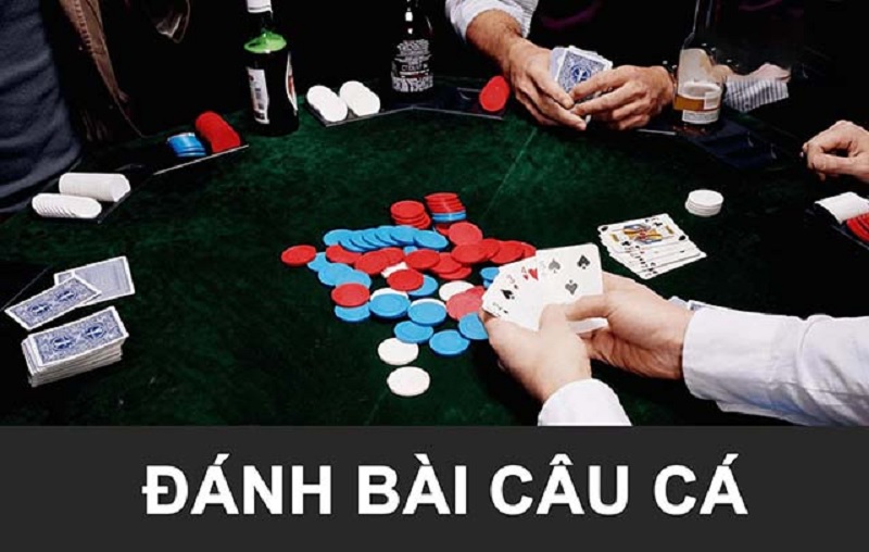 Đánh bài câu cá